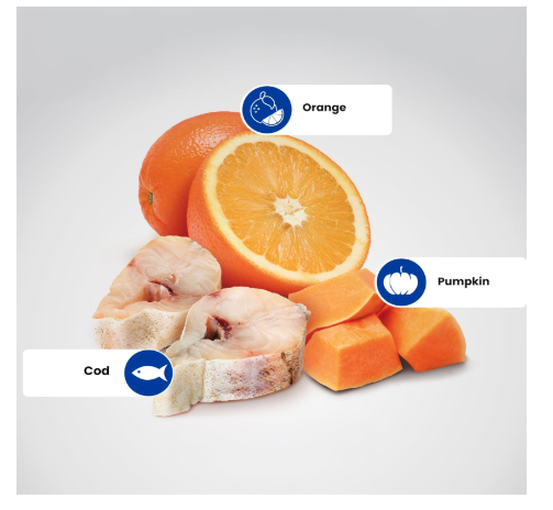 Farmina N&D Ocean Adult Med/Maxi Dog Food | Codfish & Orange | Supports Overall Health | Complete Food for Adult Dogs | 12kg