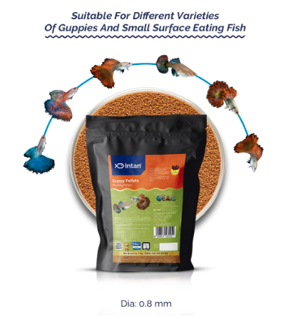 Intan Guppy Pellets (0.8mm Floating) | 5Kg - Highly Nutritious Ornamental Fish Food for Guppies & Small Surface Eating Fish | Growel Feeds