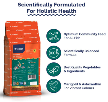 Intan Ornamental Fish Wafers (0.9mm Small Slow Sinking) | 1Kg - Highly Nutritious Ornamental Fish Food