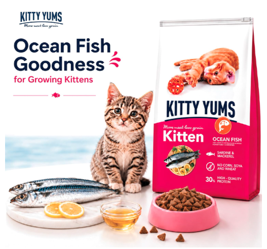 Kitty Yums Kitten (1-12 Months) Dry Cat Food 7kg Pack | Ocean Fish Flavour | Develop Strong Bones | Promotes Brain Development | Strong Immune System