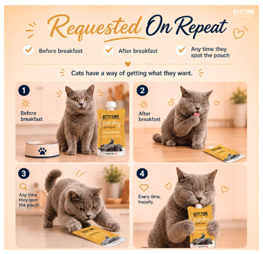 Kitty Yums All Life Stages Creamy Lickable Cat Treat (80g X12),960g Pack | Salmon & Skipjack Flavour | Stick| Easy to Hand Feed