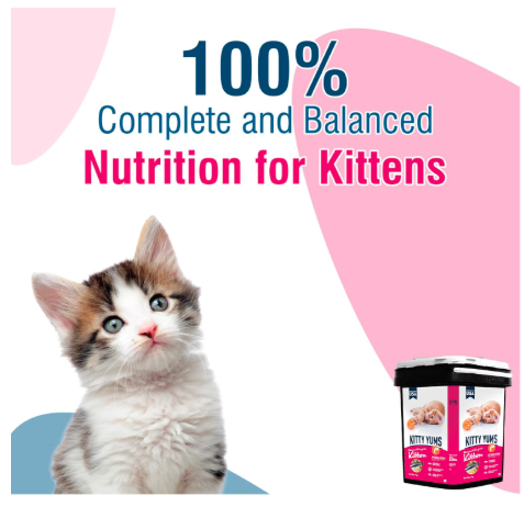 Kitty Yums Kitten Dry Cat Food Ocean Fish Inside Container 7kg Pack