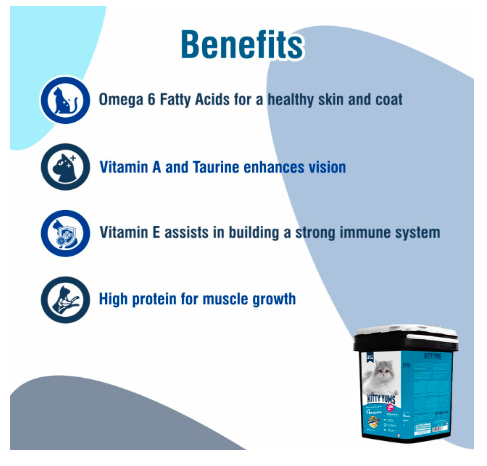 Kitty Yums Persian Dry Cat Food 7kg Pack Container | Ocean Fish Flavour | Taurine Promotes Strong Vision | Radiant Coat & Healthy Skin