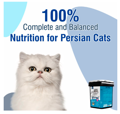 Kitty Yums Persian Dry Cat Food 7kg Pack Container | Ocean Fish Flavour | Taurine Promotes Strong Vision | Radiant Coat & Healthy Skin
