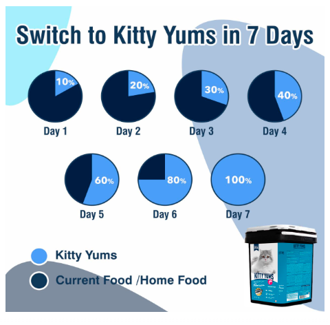 Kitty Yums Persian Dry Cat Food 7kg Pack Container | Ocean Fish Flavour | Taurine Promotes Strong Vision | Radiant Coat & Healthy Skin
