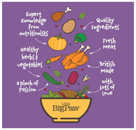 Little Big Paw Gourmet Tender Turkey Mousse for Cats, Grain Free and Hypoallergenic Wet Cat Food, 85 GMS Each (Pack of 12),All Life Stages