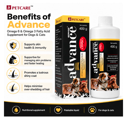 Nutri-Coat Advance Dog Skin and Fur Supplement Syrup with Omega 3 and 6 Fatty Acids, Vitamins, Supports Shiny Fur, Skin Health, 400 ml