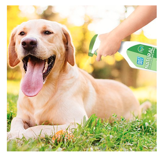 Out! Natural Flea and Tick Spray, 500 ml