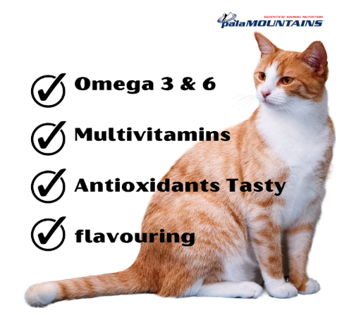 Palamountains MyBeau Vitamin & Mineral (300 ml) Oil Supplement for Cats