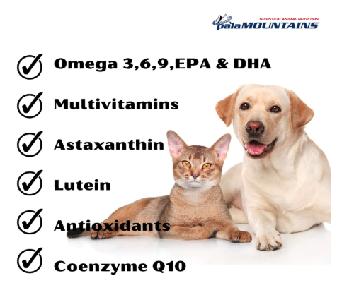 Palamountains My Beau Bone & Joint Supplement for Dogs – Joint Health, Mobility, Soft Tissue & Immune Support, Antioxidants 300ml