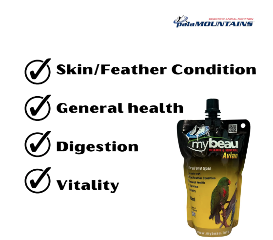 Palamountains My Beau Avian Liquid Vitamin & Omega Supplement for Birds, High Absorption (99.5%), 300ml