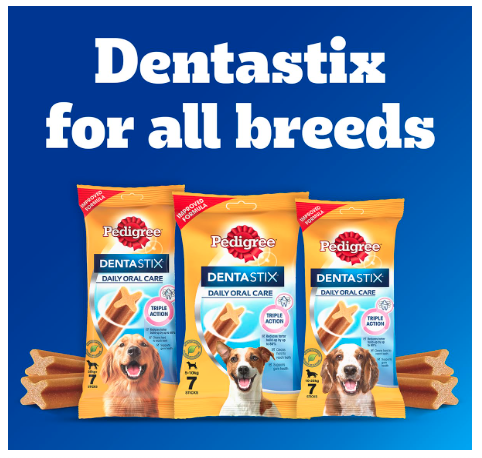 Pedigree Dentastix Oral Care Dog Treat, Adult Small Breed (5-10 kg), 1.76 kg (Pack of 16), Recommended by Vets, Supports Gum Health