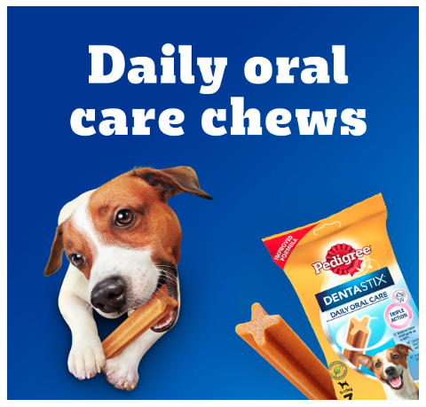 Pedigree Dentastix Oral Care Dog Treat, Adult Small Breed (5-10 kg), 1.76 kg (Pack of 16), Recommended by Vets, Supports Gum Health