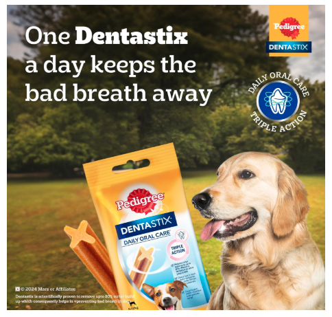Pedigree Dentastix Oral Care Dog Treat, Adult Small Breed (5-10 kg), 1.76 kg (Pack of 16), Recommended by Vets, Supports Gum Health