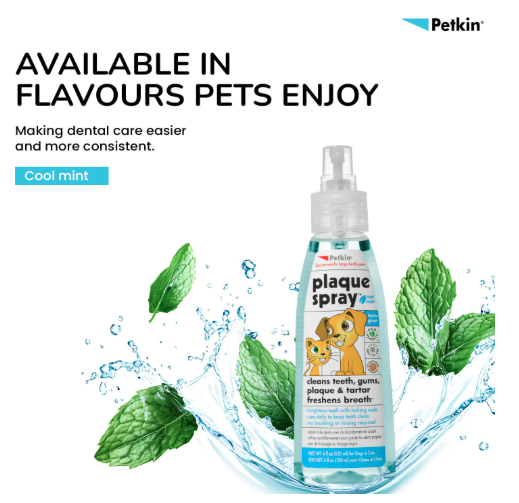 Petkin Cool Mint Plaque Spray for Dogs & Cats, No Brush Cleaning, Brightens Teeth, Freshens Breath, Easy Application, Daily Use, 120 ml
