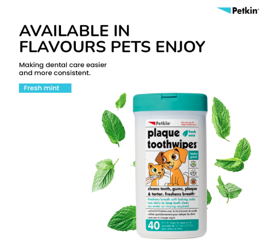 Petkin Plaque Fresh Mint Toothwipes 40 Count Dog & Cat Dental Cleaning Wipes