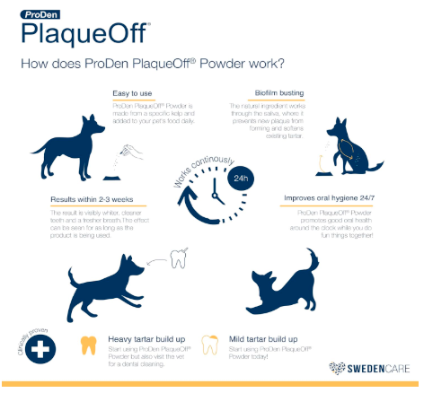ProDen PlaqueOff Powder Supports Normal, Healthy Teeth, Gums, and Breath Odour in Dogs 20 gm