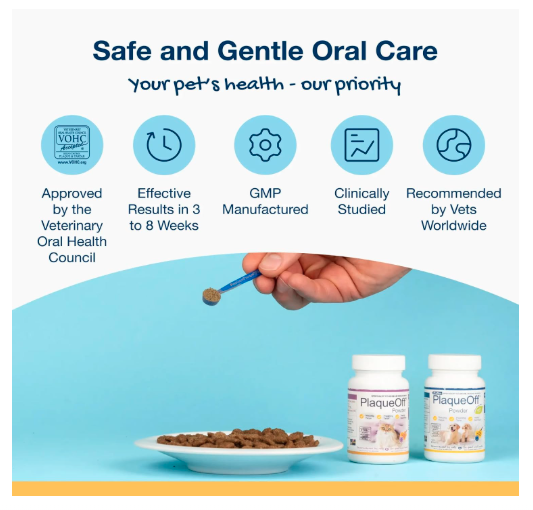 ProDen PlaqueOff Feed Supplement for Cats Original PlaqueOff for Cats, Natural Tooth Care Powder, Protects Against Bad Breath 20gm