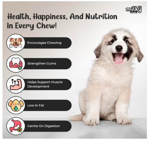 Dogaholic Milky Chew Knotted Bone Dog Treats | 15 Long-Lasting Milk-Flavoured Bones for Dogs | Healthy Chews for Dental Health