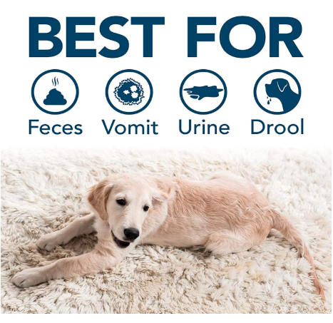 Simple Solution Dog Extreme Stain & Odour Remover, 3X Cleaning Power, Eliminates Tough Set in Stains & Odors, 1L