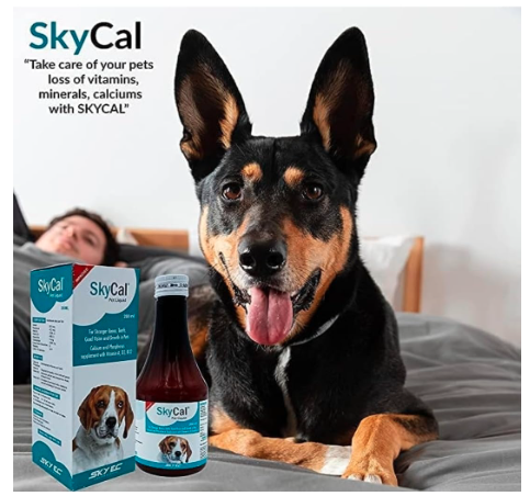 SKY EC Combo Pack of SKYCAL and PETUP PRO Syrup 200ml