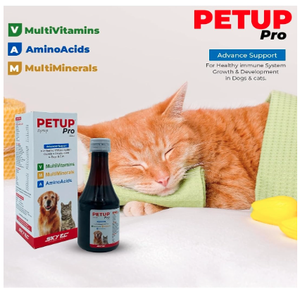SKY EC Combo Pack of SKYCAL and PETUP PRO Syrup 200ml