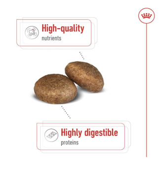 Royal Canin Maxi Adult Dog Food, Dry Food, Supports Digestive Health & Optimal Health, Provides Bone & Joint Support, 4 Kg