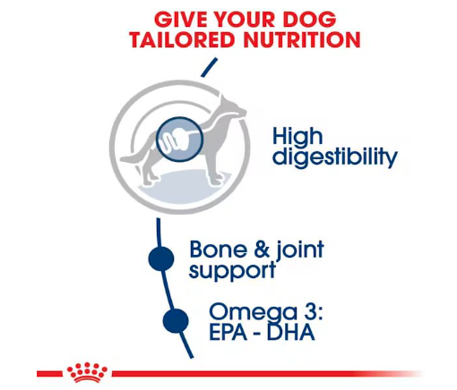Royal Canin Maxi Adult Dog Food, Dry Food, Supports Digestive Health & Optimal Health, Provides Bone & Joint Support, 4 Kg