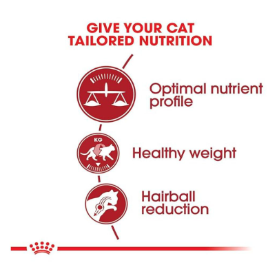 Royal Canin Fit 32 Regular Powder Adult Cat Food, Dry Food, Supports Weight Management & Optimal Nutrient Profile,2 Kg