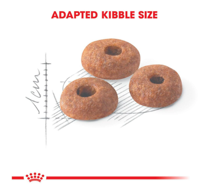 Royal Canin Fit 32 Regular Powder Adult Cat Food, Dry Food, Supports Weight Management & Optimal Nutrient Profile,2 Kg