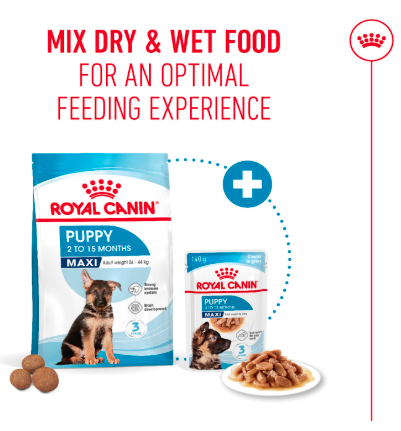 Royal Canin Maxi Puppy Food, Dry Food, Supports Immune System & digestive health, Provides Long growth, moderate energy, 1 Kg