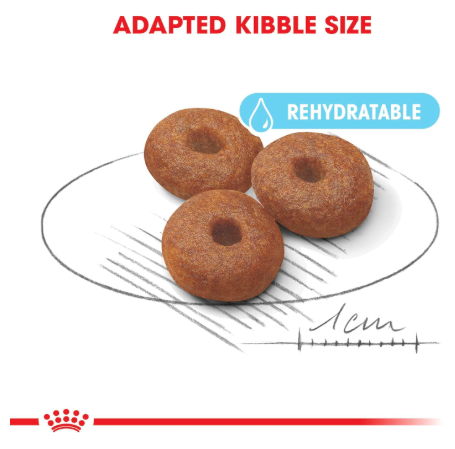 Royal Canin Maxi Starter, Mother & Babydog Food, 1 Kg, Dry Food, Supports Complex Natural Defence & digestive health