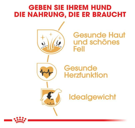 Royal Canin Golden Retriver Adult Dog Food, Dry Food, Helps with Healthy Skin & Coat & Cardiac Function, Supports Ideal Weight Management,3 Kg