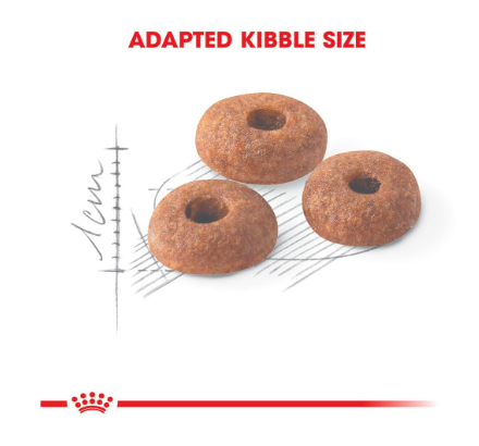Royal Canin Fit 32 Regular for Adult Cat Dry Food, Supports Optimal Nutrient Profile and Healthy Weight, 400 Grams
