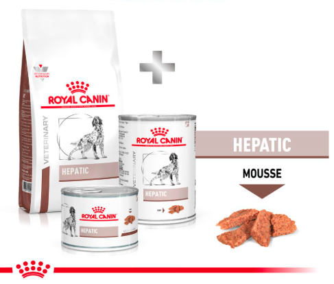 Royal Canin Veterinary Diet Canine Gastrointestinal Dry Food 2 Kg