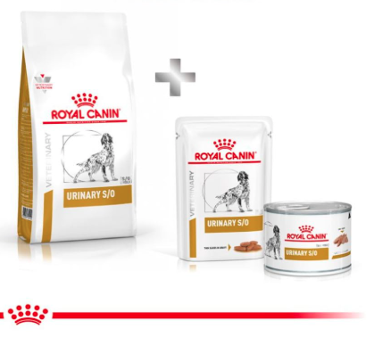 Royal Canin Urinary S/O Adult Dog Food, 2 Kg, Dry Food, Supports Urinary Tract Health, Training and Behaviour, Oral Health
