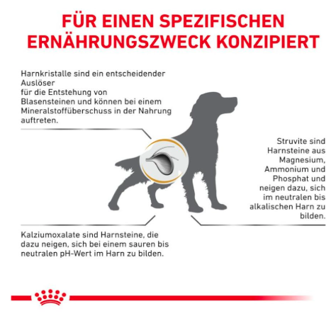 Royal Canin Urinary S/O Adult Dog Food, 2 Kg, Dry Food, Supports Urinary Tract Health, Training and Behaviour, Oral Health