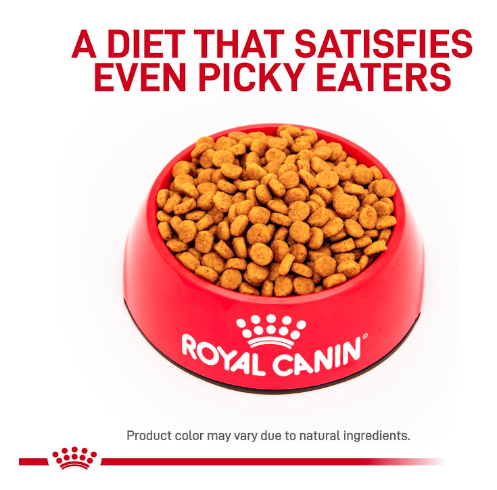 Royal Canin Hepatic, 6000 g