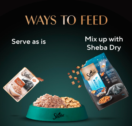 Sheba Fine Premium Kitten (2-12 months) Wet Cat Food, Chicken Premium Loaf, 70 g Pouch (Pack of 28), High-moisture gravy kitten cat food