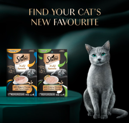 Sheba Melty Spoons Lickable Creamy Cat Treats, Creamy Chicken & Chicken Shreds, 40g, Smooth Texture, Innovative Spoon Format
