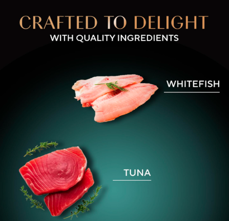 Sheba Deluxe Premium Adult (1+ Years) Wet Cat Food, Tuna Fillets in Jelly, 85 g Can (Pack of 24), High-moisture wet food for healthy hydration