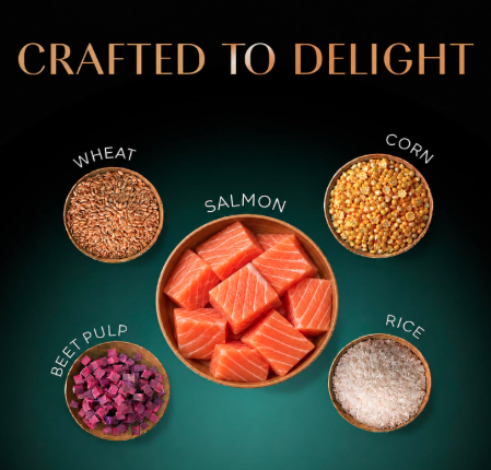 Sheba Kitten and Adult, Irresistible Dry Cat Food, Salmon Flavour, 1.5 kg, Contains 41 Essential Nutrients, Complete & Balanced Nutrition