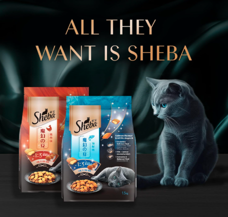 Sheba Kitten and Adult, Irresistible Dry Cat Food, Salmon Flavour, 1.5 kg, Contains 41 Essential Nutrients, Complete & Balanced Nutrition