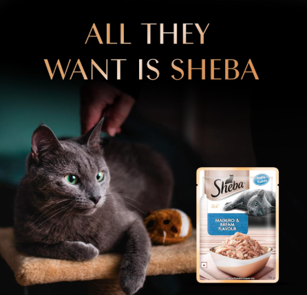 Sheba Rich Premium Adult (1+ Years) Wet Cat Food, Maguro & Bream Flavour, 35 g Pouch (Pack of 12), High-moisture wet food for healthy hydration