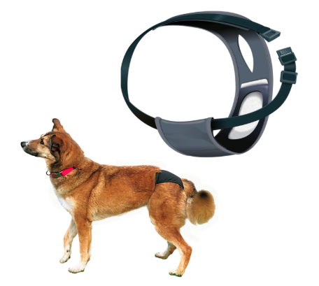Trixie: - Protective Pants for Female Dogs | Designed for Dogs in The Season to Prevent Staining of Carpets & Other Fabrics | Washable - XL: 60-70cm