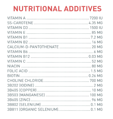 Versele Laga NutriBird A19 Hand-Rearing Food for Macaws, African Greys, eclectus Parrots and Other Baby Birds 800gm