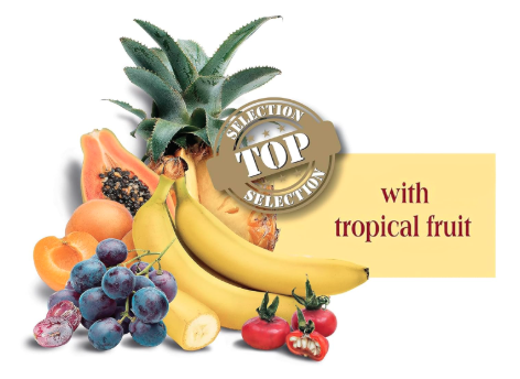 Versele Laga Premium Exotic Fruit, Seeds, Grains Treat for Parrots 600gm