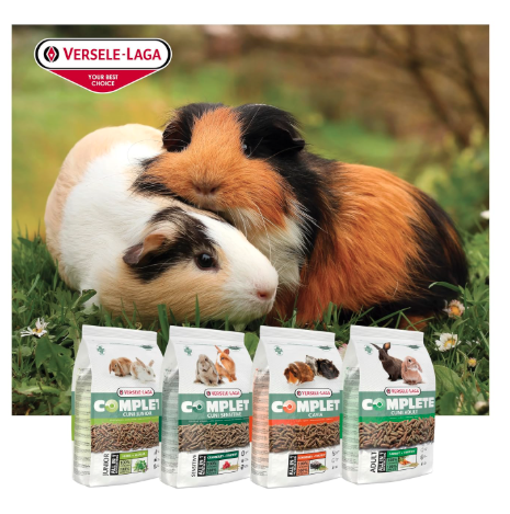 Versele Laga Complete Cuni Adult Fibre-Rich All-in-one for Adult Rabbits 500gm
