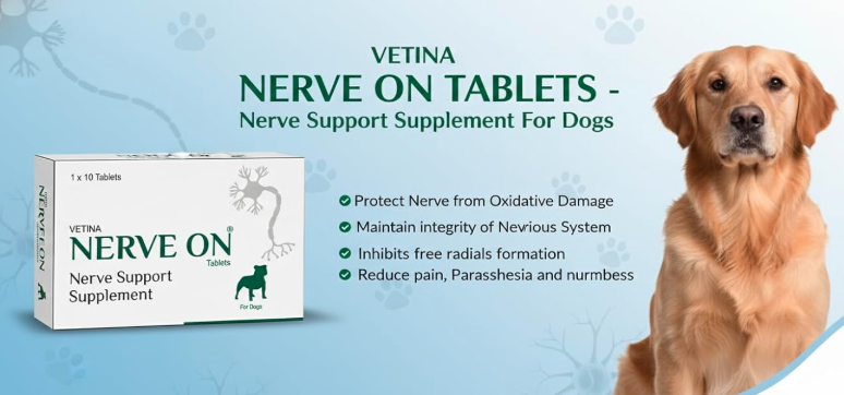 Vetina NerveOn Verve Support Supplement for Dogs Helps in Epilepsy Distemper Paralysis Nerve Injury and Neurological Disorder Patient
