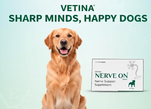 Vetina NerveOn Verve Support Supplement for Dogs Helps in Epilepsy Distemper Paralysis Nerve Injury and Neurological Disorder Patient